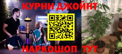 МДПВ Партизанск