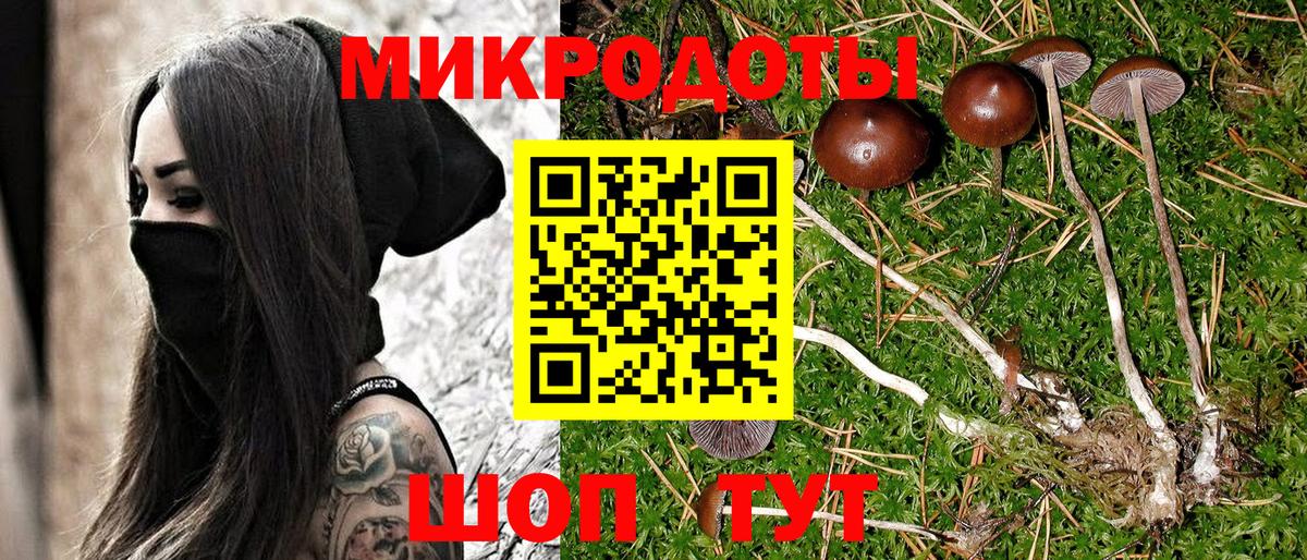 Галлюциногенные грибы MAGIC MUSHROOMS  Алейск 