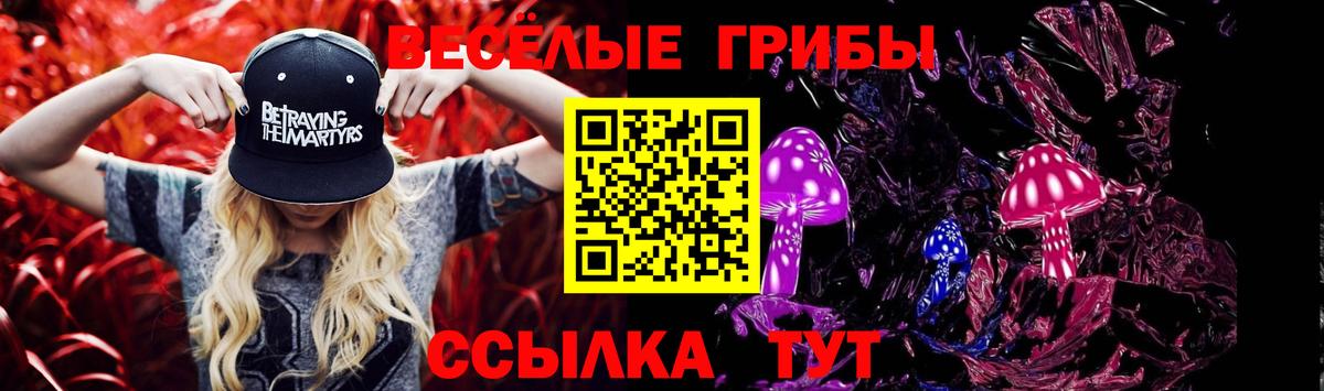 Галлюциногенные грибы GOLDEN TEACHER Алейск